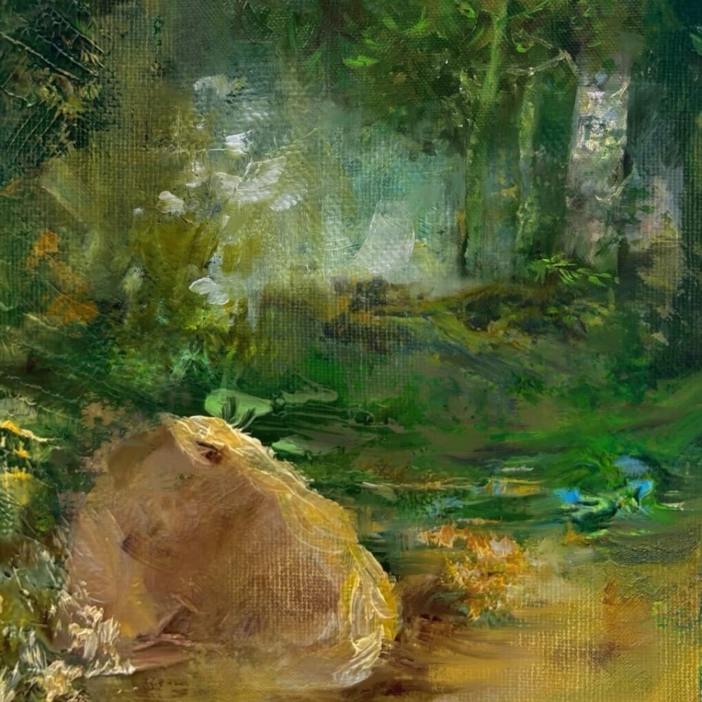 Image Cover